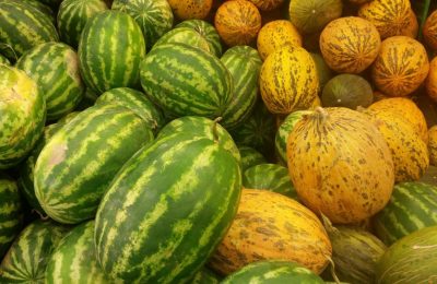 Alimente care te ajută să suporți mai ușor canicula: ce recomandă specialiștii vara