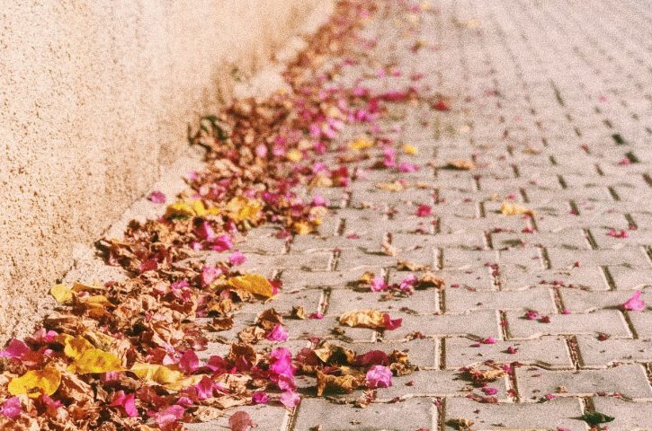 Oboseala de toamnă apare exact când trebuie să revenim la ritmul normal